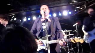 PAUL COLLINS BEAT - ROCK N ROLL GIRL