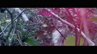 Download lagu Bigfoot Movie 2015 - Teaser mp3