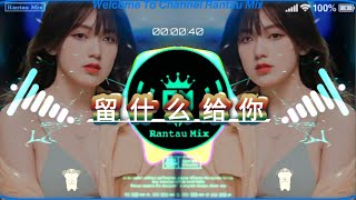 Download lagu 留什么给你 Liu Shen Me Gei Ni EDM remix。 mp3