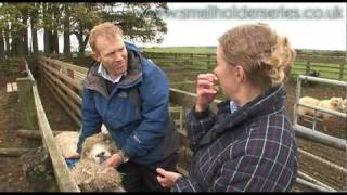 preview picture of video 'Sheep Drenching (worming) with Adam Henson'
