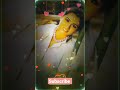 Zindagi Pyaar Ka Padmini Kolhapuri Status Old Song Shorts