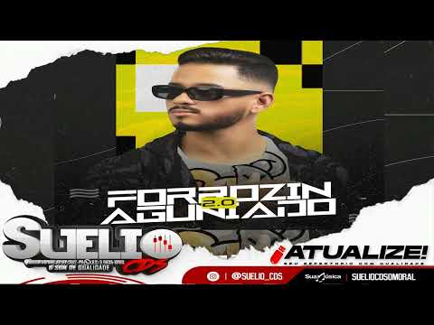 Dj Melk Novembro 2022 - Forrozin Aguniado - CD Atualizado Com Qualidade de Paredão #sueliocds
