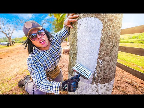 EU SEI QUE É VOCE BRUNO BARRETO 😡 AGORA VOCE VAI SE ARREPENDER KKKKKKKK