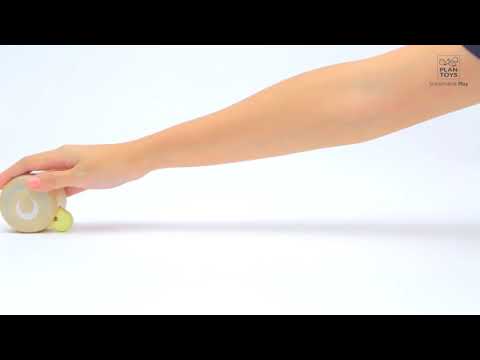 5252 Peek a Boo Roller Plan Toys