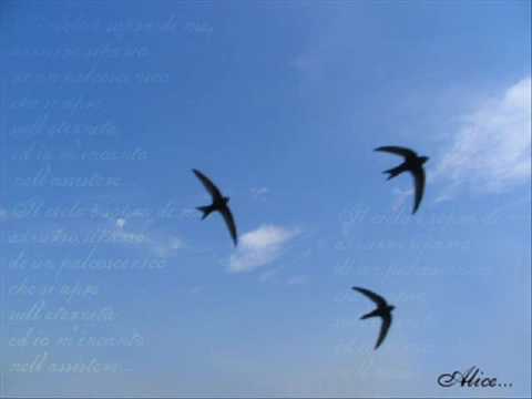 Lucio Dalla- Le rondini (1990)