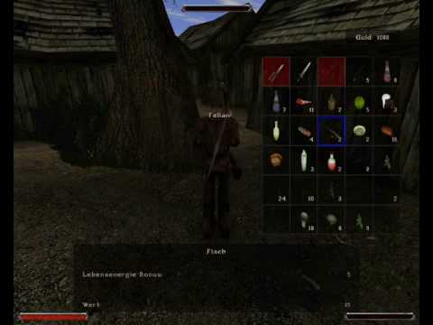 Lets play Gothic 2 DNDR (German) #11b