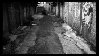Black Beauty Music Video