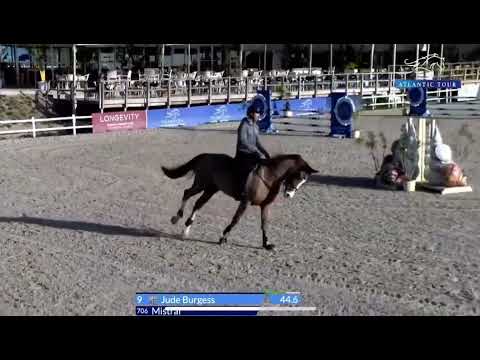 5yrs Baloubet x Carambole