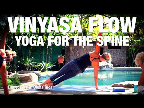Yoga Class for Your Spine & Back - Five Parks Yoga