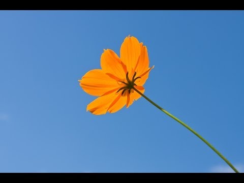 download lagu mp3 mp4 My Mood Music, download lagu My Mood Music gratis, unduh video klip My Mood Music