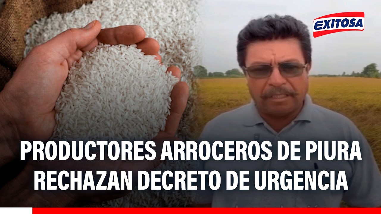 🔴🔵 Productores arroceros de Piura rechazan decreto de urgencia y evalúan medidas