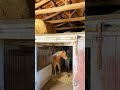 Propri&eacute;t&eacute; &eacute;questre -Chalain le Comtal (42) 1.6 hectares
