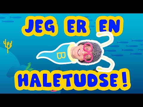 BIM BAM BUSSE | Lille Bille