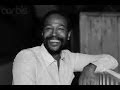 Marvin Gaye - Just Like Music {Music Feel The ...