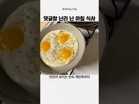 댓글창 난리 난 완벽한 아침 식사