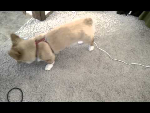 More tough guy stuff.