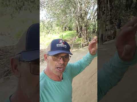 riacho de manezinho #paraíba #agro adeus #sertão#Paraíba#igaracy