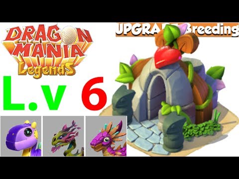 Upgrade Breeding Den To Level 6 - Dragon Mania Legends