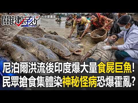 尼泊爾洪流後印度爆大量「食屍巨魚」！ 民眾搶食集體染「神秘怪病」恐爆霍亂？【關鍵時刻】張炤和  @ebcCTime