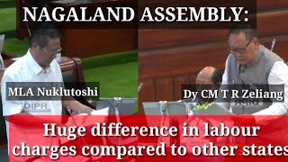 Nagaland pays emtremely little wage to labourers compared with others States in India 