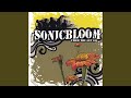 Sonicbloom (interlude)
