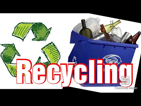 The Ultimate Guide to Recycling