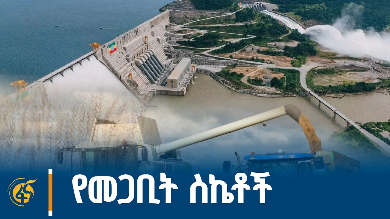 የስምንት አመታት ትሩፋት