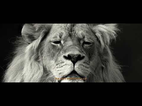 Nineb Youk - Ännu En Man