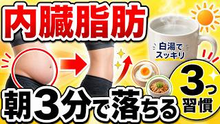 内臓脂肪を最速で落とす朝の習慣！