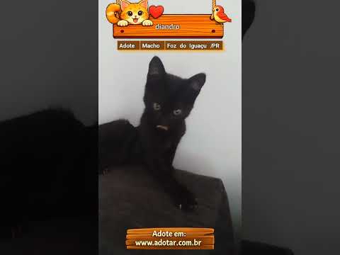 Vídeo de diandro 
