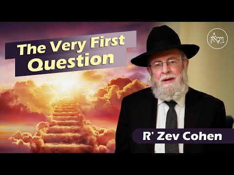 The Very First Question | Rabbi Zev Cohen