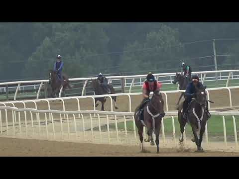 ARREST ME RED  - GANDOLFO 1/2