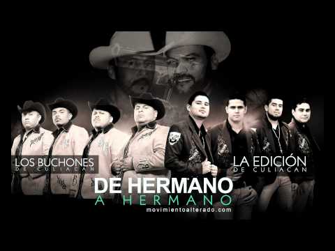 La Edicion De Culiacan x Los Buchones - De Hermano A Hermano (Audio Oficial)