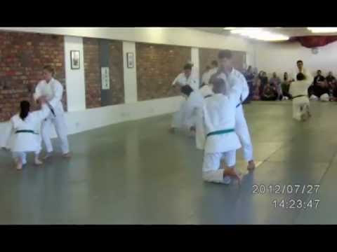 AYNSW 2012 Annual Demonstration  Kihon Waza