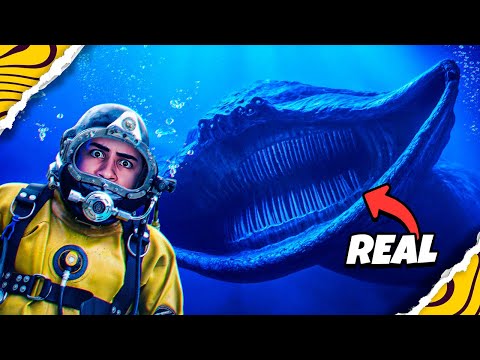 13 PIORES MONSTROS MARINHOS QUE EXISTEM NA VIDA REAL