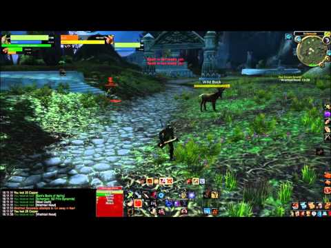 17 hunter vs 25 druid in Zoram Strand