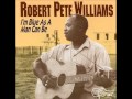 Up And Down Blues (1994) - Robert Pete Williams