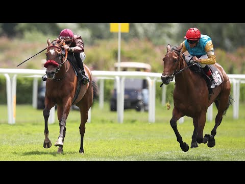 Hamburg-Horn: Hermann Schnabel-Gedächtnisrennen (Hamburger Stutenpreis)2023 Siegerin: Princess Zelda