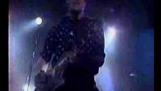 take a walk with the fleshtones