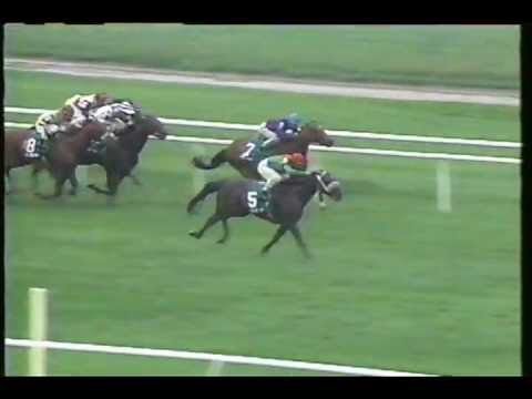 1993 Grade 1 Man o' War at Belmont Park: Star of Cozzene
