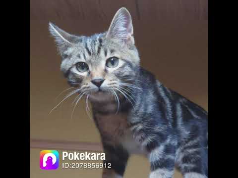 Every Little Thing「Future World」をセルフコーラス付きで歌ってみました✨