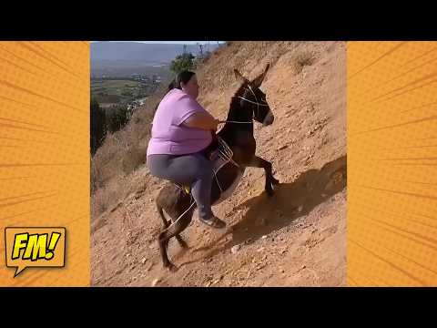 TENTE NÃO RIR 🤣 TOP 100 VÍDEOS MAIS ENGRAÇADOS DE TODOS OS TEMPOS 🎬 🔥 MEMES E FALHAS ÉPICAS