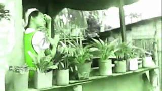 Ewan ko by Soapdish.wmv