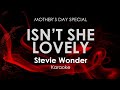 Isn't She Lovely | Stevie Wonder karaoke