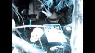 HEX  "Witches of the Hex"