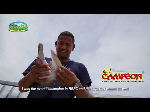 Alagang Magaling S10 Ep9   Clds   Alvir Monis