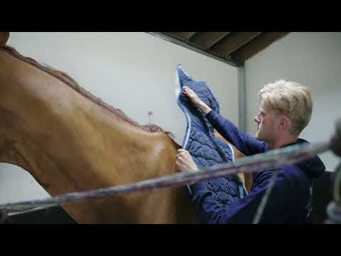 wkd hunter trot up