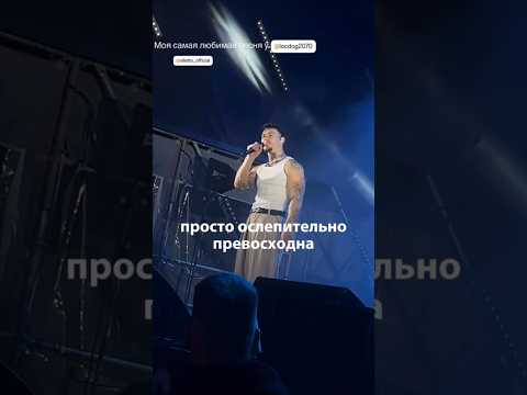 NILETTO и LOC-DOG вместе поют песню «Фонари» #niletto #музыка #niletto_official #концерт #locdog