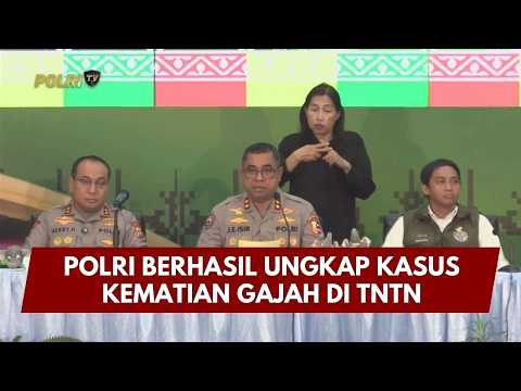 PRESISI UPDATE: POLRI BERHASIL UNGKAP KASUS KEMATIAN GAJAH DI TNTN 03/03/26 (17.00)