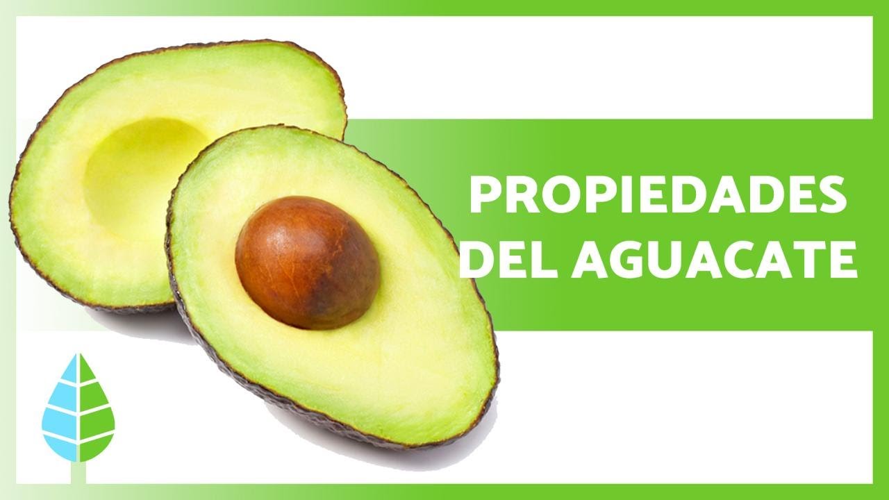 BENEFITS OF AVOCADO 🥑 (Properties, How to Eat It, and Contraindications)